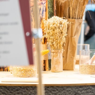 Le salon valaisan des formations et métiers. Martigny. Jeudi 9 mars 2023